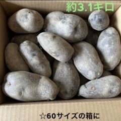 ☆令和8年☆大きさ大小様々になります⭐︎「シャドークイーン」じゃがいものサムネイル