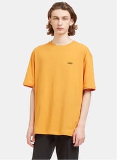 RAF SIMONS 17ss hyena Tシャツ 瑛太着用のサムネイル