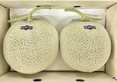 A*n様 ご贈答用 高知特産温室マスクメロン 秀品 2玉入り約3.4㎏（下箱