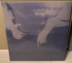 君島大空 袖の汀 LP アナログレコード - メルカリ