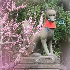 美玖さま専用ページのサムネイル