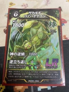 すっち様 リクエスト 2点 まとめ商品のサムネイル