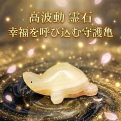 特級呪物✨幸せを運ぶ守護亀✨霊石 座敷わらし 高額当選 曰くつき 金運