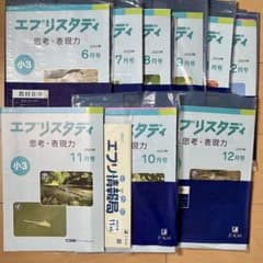 未記入・未使用】Z会 エブリスタディ 思考・表現力 小3 2023年度 9カ月 