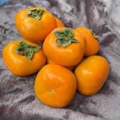 新潟県佐渡 羽茂産 おけさ柿 8玉のサムネイル
