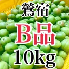 青梅　鶯宿　B品　傷あり　格安　10キロ　奈良県産　L、2L、3Lサイズのサムネイル