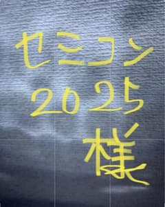 セミコン2025様　専用ページ （パタゴニア青セーター）のサムネイル