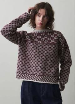 Steven Alan ウール ナイロン ミックス ジャカード ニット - メルカリ