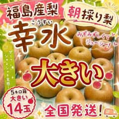 全国発送福島産梨 幸水5キロ箱大きい14玉 家庭用のサムネイル