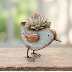 ポイポイトレー 木製プランター ウッドプランター 多肉 お花 寄せ植え