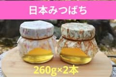 日本蜜蜂　はちみつ　プレゼント　　260g　2本 ニホンミツバチ　おしゃれのサムネイル
