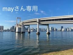 犬用　オムツ　SSのサムネイル