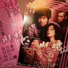 Yuu様専用　ビニールの城フライヤーセットのサムネイル