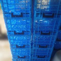 専用サンコー オリコン ブルー 15枚セット - メルカリ