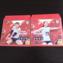 バレーボール女子日本代表 2026 トレーディングmini色紙セットのサムネイル