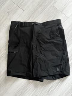 【値下げ】THE NORTH FACE ショートパンツLサイズのサムネイル
