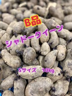 じゃがいも　シャドークイーン　B品　訳あり　10kgのサムネイル