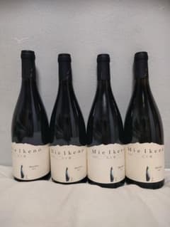 ミエイケノ メルロー 八ヶ岳 Mie Ikeno Merlot 2023 - メルカリ