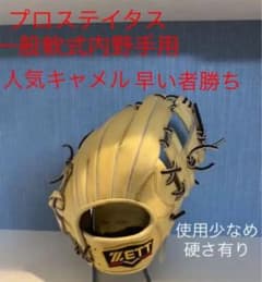 ゼット　プロステイタス　軟式内野手用　パステルのサムネイル