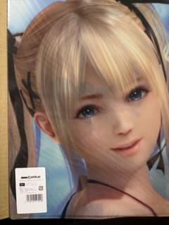 【在庫ラスト】DOAXVV クリアファイル マリーローズ DMMスクラッチ C賞 DOAXVV クリアファイル マリー・ローズ DMMスクラッチ C賞 - メルカリ