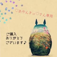 ♡あやんきぃ♡さん専用 レディーストップスのサムネイル