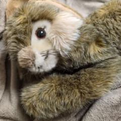 シュタイフ うさぎ ぬいぐるみ ヴィンテージ - メルカリ