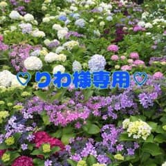 ディオール / アディクト エクストレム   479のサムネイル