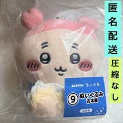 Chiikawa AnyMai Lottery Plush Toy #9 Used Bookstore Crab Chiikawa and Summer Memories