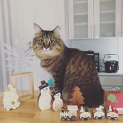 まっちゃんさま。専用のサムネイル