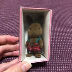 貴重☆シルバニアファミリーうさぎの男の子のサムネイル