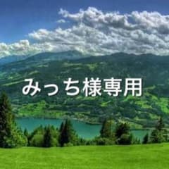 バドミントンラケット  みっち様専用のサムネイル