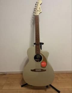 Fender Newporter 希少カラーシャンパンゴールド 美品 - メルカリ