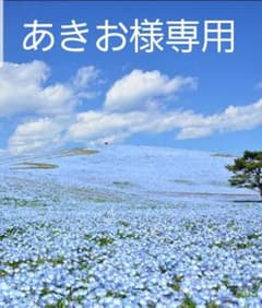 返金対応分のサムネイル