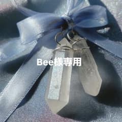 Bee様専用のサムネイル