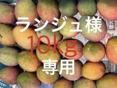 訳あり１０キロ　専用のサムネイル