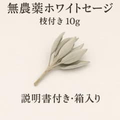 激安価格☆無農薬ホワイトセージ枝付きクラスター10g箱入りお香浄化