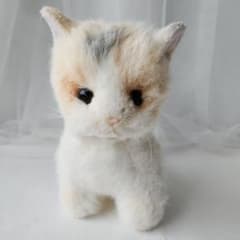 m16097582226_1.jpg?1709728428