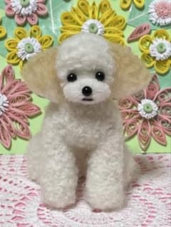 羊毛フェルト トイプードル