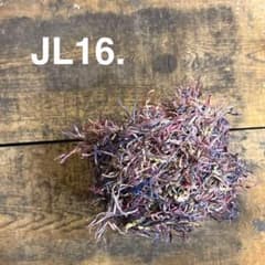 ☆手染め糸☆JL16. コットンLフラッグ 引き揃え 毛糸 ジャンク - メルカリ