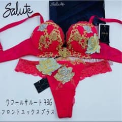 ワコール サルート 73G フロントエックスプラスブラ ブラジャーソング