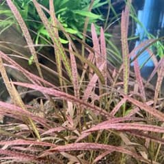 m16102893216_1.jpg?1771211483