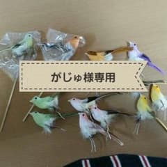 小鳥ピックなどのサムネイル