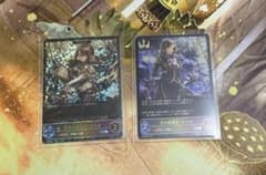 セリア　進化ライン　SLのサムネイル