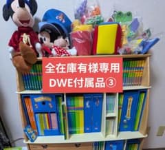 全在庫有様専用　DWE付属品③のサムネイル