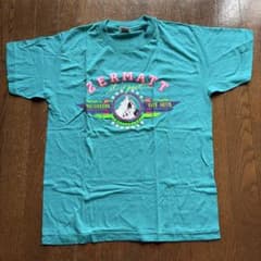 ZERMATT マッターホルン プリントTシャツのサムネイル