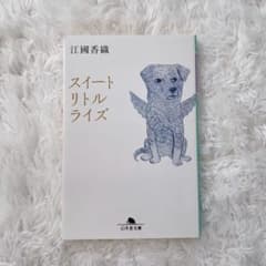 スイートリトルライズ 江國香織 幻冬舎文庫のサムネイル