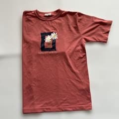 Fox Fi re レディースTシャツのサムネイル