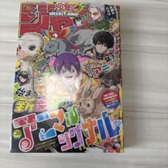 週刊少年ジャンプ 2026年28号 6月22日号 シュリンク付き - メルカリ