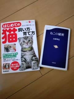 はじめての猫 飼い方・育て方＆猫の秘密のサムネイル