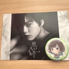 欅坂46 平手友梨奈 缶バッジ ポストカード - メルカリ